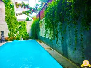 サヌールにある3Bedroom Villa Kepiting Sanurの緑の蔦の裏庭のスイミングプール