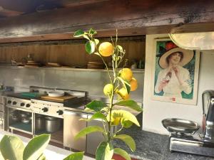a kitchen with a picture of a woman on the wall at Appartamento Belvedere in Dubino