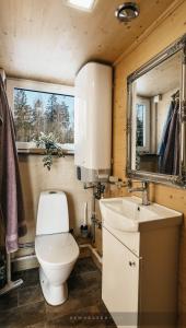 La salle de bains est pourvue de toilettes, d'un lavabo et d'un miroir. dans l'établissement Juusa cabin, à Otepää