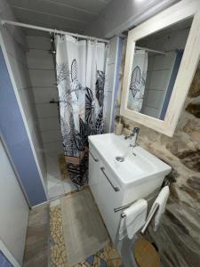 a bathroom with a sink and a shower at L'Albizia in Saint-Germain-les-Vergnes
