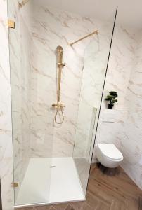 a glass shower with a toilet in a bathroom at APARTAMENT JARACZA 28/11 in Słupsk