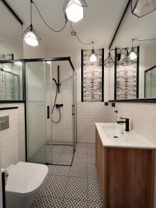 a bathroom with a shower and a sink at Kolejowa 4 Boutique Apartment in Nowa Ruda