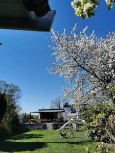een boom met witte bloemen in een tuin met een gebouw bij Gemütliches Traumhaus im Grünen in Swisttal