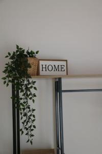 a shelf with a home sign and a plant at Gemütliches Traumhaus im Grünen in Swisttal