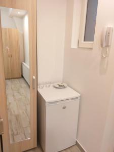 a bathroom with a small white refrigerator in a room at Memorandului Residence in Timişoara