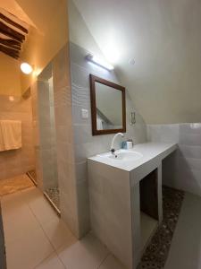 uma casa de banho com um lavatório, um espelho e um chuveiro em Tahira Villa em Praia de Diani