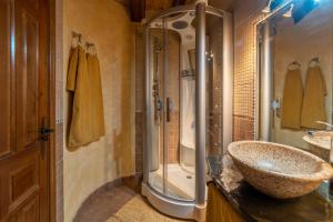 La salle de bains est pourvue d'un lavabo et d'une douche. dans l'établissement Casa Rural Castillo Diempures, à Cantalojas