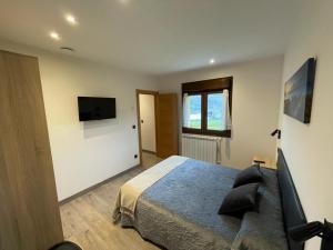 Schlafzimmer mit einem Bett und einem Flachbild-TV in der Unterkunft Apartamentos Fuente La Pipa in Avín