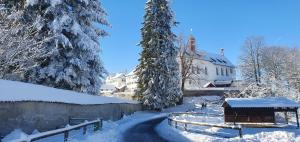 a snow covered yard with a house and trees at 3 Zi Wohnung Stilvoll im Gertrud Schlössli - zentral ruhig in St. Gallen