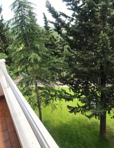 Příroda nedaleko hotelu