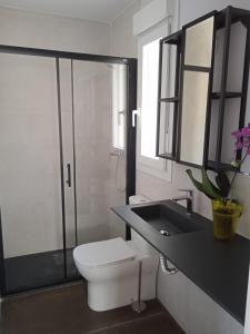 ein Bad mit einem WC, einem Waschbecken und einer Dusche in der Unterkunft Casita independiente con jardin in Cercedilla