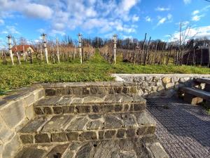 Zahrada ubytování Vineyard Cottage Maleric with Pool Access