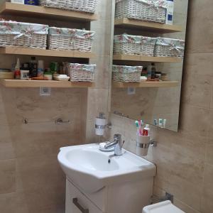 een badkamer met een wastafel, een spiegel en een toilet bij Seashell Apartment in Perea