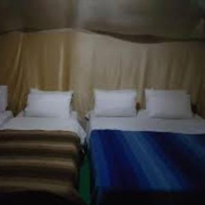 two beds in a small room with at Ibra desert Camp in Merzouga