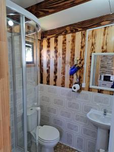 a bathroom with a toilet and a sink at Hostal Robinson in Puerto Puyuhuapi