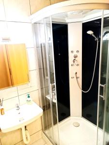 a bathroom with a shower and a sink at Hotel Zemlinski in Payerbach