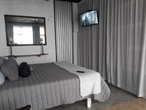 a bedroom with a bed and a tv on the wall at King Protea Self Catering Flat in Mossel Bay