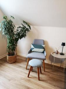 einen Stuhl in einem Wohnzimmer mit einer Pflanze in der Unterkunft Helle´s casa in Herning