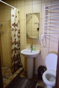 uma casa de banho com um lavatório, um WC e um espelho. em Садиба Грицюка em Krivorovnya