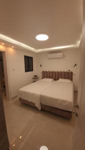 1 dormitorio con 1 cama grande en una habitación en Y.L אירוח בוטיק en Bet Sheʼan