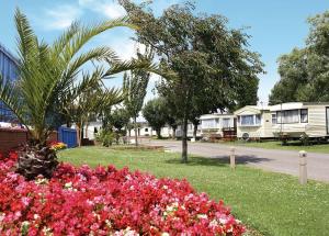 a park with pink flowers and trees and houses at Riverside Caravan Park in Bognor Regis