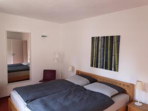 ein Schlafzimmer mit einem Bett und einem Spiegel in der Unterkunft BMS BALANCE - Gemütliche 4 Sterne Möblierung neben dem Parkhotel in Wolfsburg