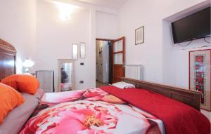 Schlafzimmer mit einem Bett mit Kissen und einem Flachbild-TV in der Unterkunft Cozy Apartment In Orsogna With Kitchen in Orsogna