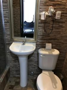 a bathroom with a sink and a toilet and a mirror at Santiago Bellas Artes in Santiago