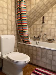 a bathroom with a toilet and a shower curtain at Appartamento Evelina in Airolo