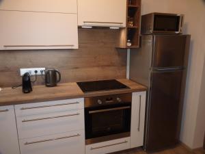 Kuhinja oz. manjša kuhinja v nastanitvi Apartmán Trilobit