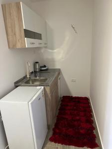 Kuchyň nebo kuchyňský kout v ubytování Tiny house 2 - Imanje Terzic