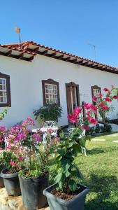 a group of potted plants in front of a house at Casa Nobre in Pirenópolis