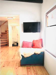 a living room with a couch with two red pillows at Cityhouse Nauwies in Saarbrücken