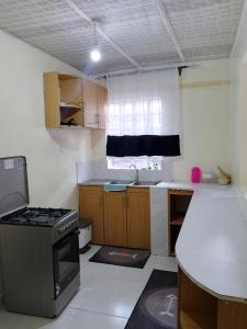 Nhà bếp/bếp nhỏ tại Leafy suburbs of milimani(1br)-Nakuru