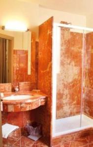 uma casa de banho com um lavatório e um chuveiro em Best Western Hotel Stella d'Italia em Marsala