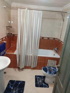 a bathroom with a shower and a toilet and a sink at Appart spacieux en centre-ville in Fez