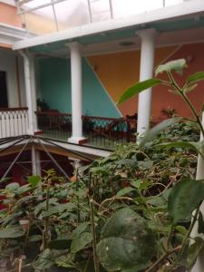 een gebouw met een bos planten ervoor bij Colors House in Sucre
