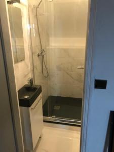 ein Bad mit einer Dusche und einem Waschbecken in der Unterkunft Gîte du ru d ausson in Avrigny