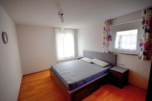a bedroom with a bed and two windows at Zentral am Wieland-Park mit Aufzug und viel Platz in Biberach an der Riß