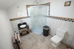 a bathroom with a toilet and a shower and a sink at Melior Wellness in Nitrianska Blatnica