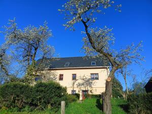 een huis op een heuvel met bomen op de voorgrond bij Ferienwohnung Lippmann in Dorfchemnitz