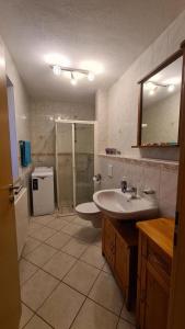 a bathroom with a sink and a shower with a mirror at Ferienwohnung Lippmann in Dorfchemnitz
