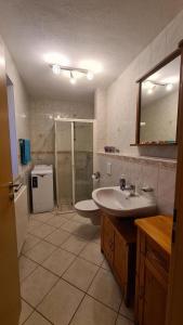 a bathroom with a sink and a shower with a mirror at Ferienwohnung Lippmann in Dorfchemnitz +17 photos