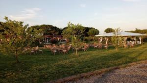 een groep tafels en stoelen in een veld bij Agriturismo Il Sogno in Castiglione del Lago