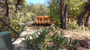 a house in the middle of a forest at la bergerie des colles in Entrecasteaux