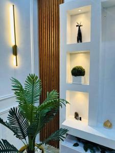 a plant in a room with shelves and a plant at Sweet Serenity with Ecstatic Views in Lagos