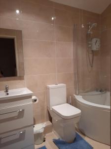 a bathroom with a toilet and a tub and a sink at Hillhead House in Ardara