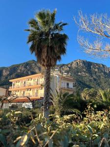 a palm tree in front of a building with mountains in the background at Panorama Hotel - Restaurant in Diakopto