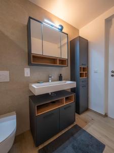 a bathroom with a sink and a toilet and a mirror at New & Stylish Studio in prime location in Lausanne