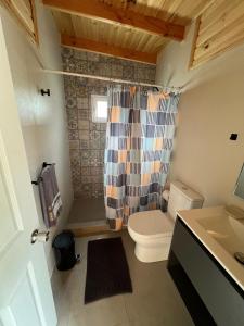 y baño con aseo y cortina de ducha. en Cabañas Santa Elena en Pelluhue